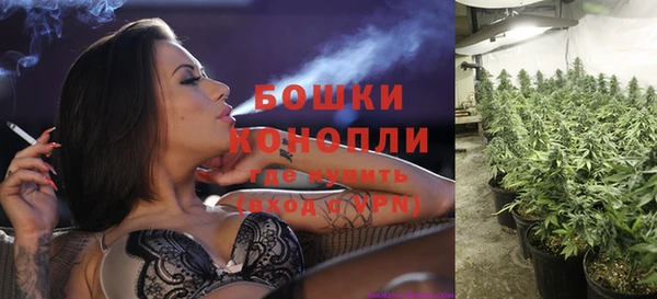 spice Абаза