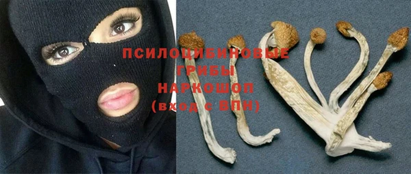 хмурый Алексин